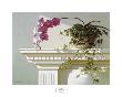 Mantlepiece Orchid by Zhen-Huan Lu Limited Edition Print