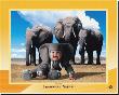 Elephant by Tom Arma Limited Edition Print