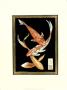 Koi Fish On Black Ii by Chariklia Zarris Limited Edition Pricing Art Print