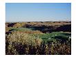 Dakota Dunes Golf Links, Hole 15, Sand Dunes by Stephen Szurlej Limited Edition Pricing Art Print