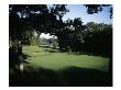 Olympia Fields Country Club North Course, Hole 4 by Stephen Szurlej Limited Edition Print