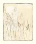 Field Flowers Ii by Noya Huynh Limited Edition Print