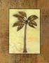Palm Tree Ii by Norman Wyatt Jr. Limited Edition Print