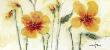 Pansies Vii by Marthe Limited Edition Print