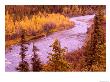 River Running Thru Autumn Colors, Denali National Park, Alaska, Usa by Terry Eggers Limited Edition Print
