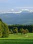 The Glarner Alps Loom Above A Pasture And Lake Zurich by David Pluth Limited Edition Print