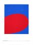 Walker Art Center by Ellsworth Kelly Limited Edition Pricing Art Print