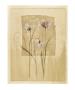 Fleurs Des Champs I by Stephanie Flateau Limited Edition Print