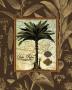 Date Palm by Karl Rattner Limited Edition Pricing Art Print