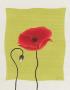 Pretty Poppy by Deborah Falls Limited Edition Print