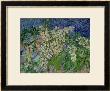 Blossoming Chestnut Branches, 1890 by Vincent Van Gogh Limited Edition Print
