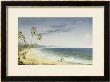 Cuban Landscape, 1866 by Charles De Wolf Brownell Limited Edition Print