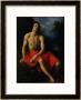 St. John The Baptist In The Desert by Cristofano Allori Limited Edition Print