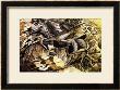 The Charge Of The Lancers, 1915 by Umberto Boccioni Limited Edition Print