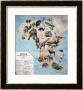 Map Of Animals In Africa Sf by Janos Balint Limited Edition Pricing Art Print