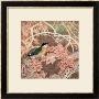 Lifespring - Japanese Blue-Winged Pitta by Minrong Wu Limited Edition Print