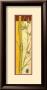 Bamboo Panel Ii by Jennifer Goldberger Limited Edition Pricing Art Print