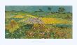 The Lowlands At Auvers-Sur-Oise by Vincent Van Gogh Limited Edition Print