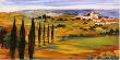 Hills Of Tuscany by Mayte Parsons Limited Edition Print