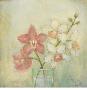Orchid Blossom Ii by Eva Kolacz Limited Edition Pricing Art Print