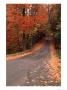 Country Road In Autumn, Vermont, Usa by Charles Sleicher Limited Edition Print