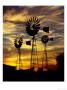 Windmills At Sunset In Penong, Australia by Richard I'anson Limited Edition Print