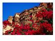 Meherangarh Fort With Pink Flowers In Foreground, Jodhpur, India by Anthony Plummer Limited Edition Print