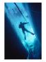 Man Diving In Water Between Ice by Yvette Cardozo Limited Edition Pricing Art Print