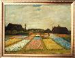 Flower Beds In Holland, 1883 by Vincent Van Gogh Limited Edition Print
