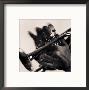 Man's Hands Playing Trumpet by Peter Macomber Limited Edition Print