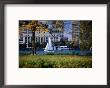 Sailing Off The Esplanade On The Charles River, Boston, Massachusetts, Usa by Angus Oborn Limited Edition Print