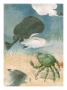 A Sheep Crab Treads The Ocean Floor Beneath A Group Of Electric Rays by National Geographic Society Limited Edition Pricing Art Print