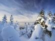 Pic De L'aube, Quebec Gaspesie National Park, Quebec by Yves Marcoux Limited Edition Print