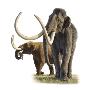 Artwork Of A Mammoth And A Mastodon. by National Geographic Society Limited Edition Pricing Art Print