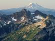 Mount Adams, The Tatoosh Range, And Mount Rainier by Pat O'hara Limited Edition Pricing Art Print