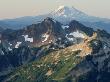 Mount Adams, The Tatoosh Range, And Mount Rainier by Pat O'hara Limited Edition Print