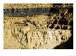 Backhoe (Excavator) In Limestone Quarry, England by Martin Page Limited Edition Pricing Art Print