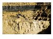 Backhoe (Excavator) In Limestone Quarry, England by Martin Page Limited Edition Print