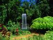 Millaa Millaa Falls, Atherton Tablelands, Australia by John Banagan Limited Edition Print