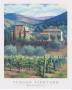 Tuscan Vineyard by Deborah Haeffele Limited Edition Pricing Art Print