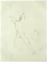 Croquis I by Leonor Fini Limited Edition Pricing Art Print
