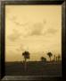 Viera Dusk I by Rene Griffith Limited Edition Print