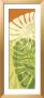 Tropic I by Ahava Limited Edition Pricing Art Print