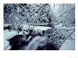 Branches Heavy With Snow Droop Over A Creek With A Small Waterfall, Catskill Mountains, New York by John Eastcott & Yva Momatiuk Limited Edition Print