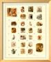 Peter Rabbit Alphabet by Beatrix Potter Limited Edition Print