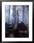 Campers Making Early Morning Breakfast At Their Site In Yosemite National Park by Ralph Crane Limited Edition Print