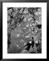 Couple Relaxing On Bank Of Seine Near Notre Dame Cathedral During Lunch Hour by Alfred Eisenstaedt Limited Edition Print