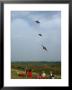 Children And Families Flying Kites In Nantucket, August 1974 by Alfred Eisenstaedt Limited Edition Print