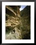 Hiker In The Himalayas by James Burke Limited Edition Print