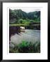 Horse Wading In Stream Amid Hills In Papera Region, South Seas by Eliot Elisofon Limited Edition Print